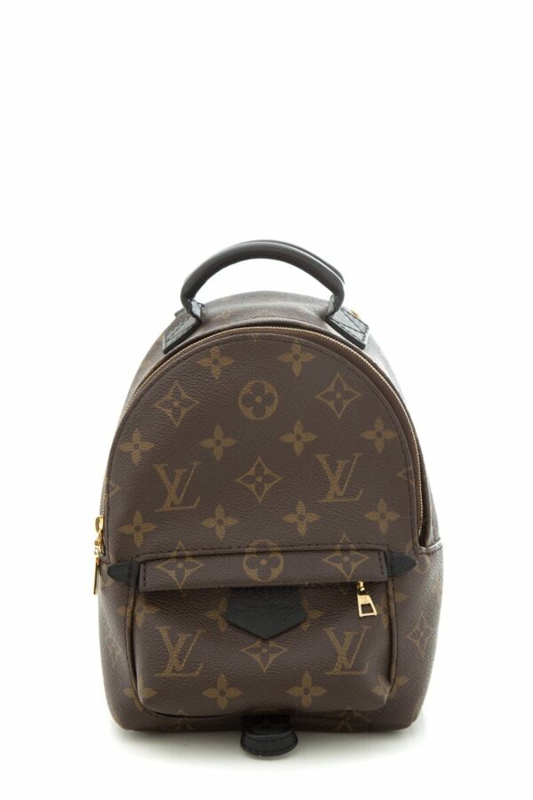 LV 2022 "Mini Palm Springs" Monogram Backpack - Image 7