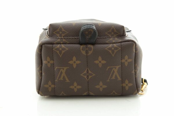 LV 2022 "Mini Palm Springs" Monogram Backpack - Image 4