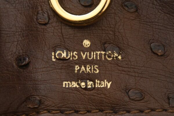 LV "Etoile Exotique" Leather GM Limited Edition - Image 6