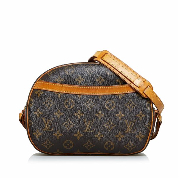 LV Blois Monogram Canvas