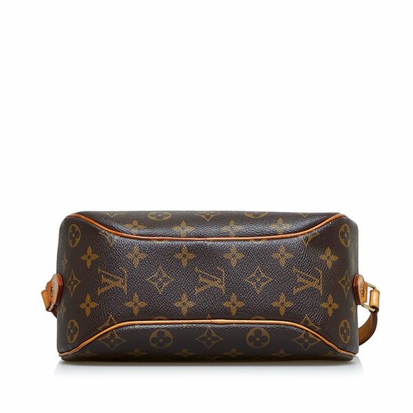 LV Blois Monogram Canvas - Image 4