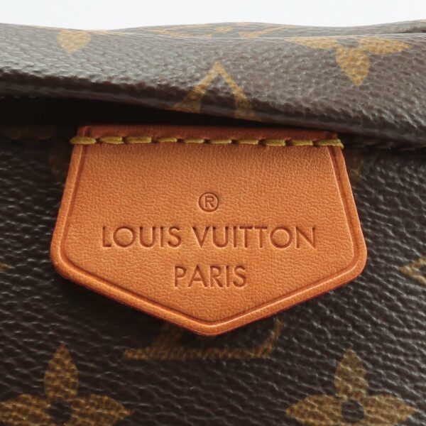 LV Bumbag Monogram - Image 19