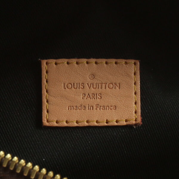 LV Bumbag Monogram - Image 20