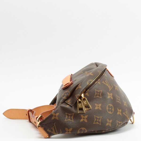 LV Bumbag Monogram - Image 3