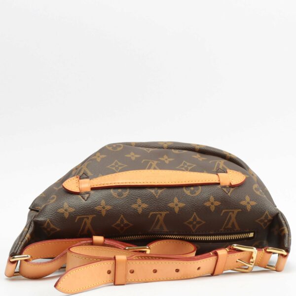 LV Bumbag Monogram - Image 4