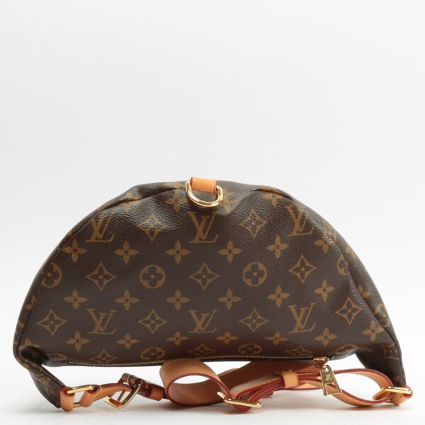 LV Bumbag Monogram - Image 6