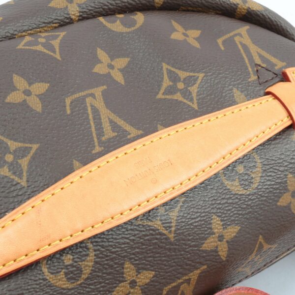 LV Bumbag Monogram - Image 9