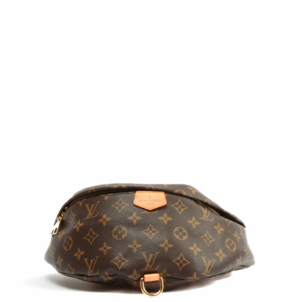 LV Bumbag Monogram - Image 22