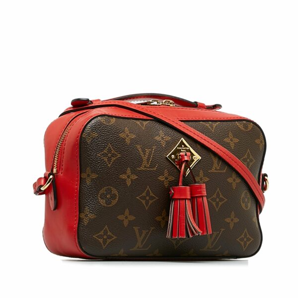 LV Saintonge Monogram Canvas - Image 2