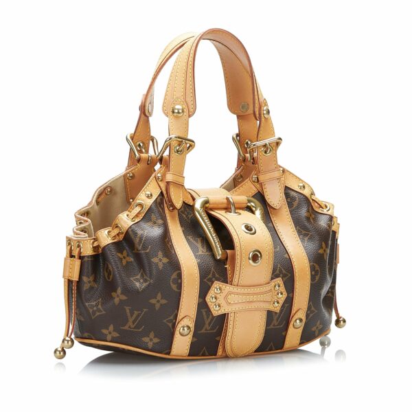 LV Theda PM Monogram Canvas