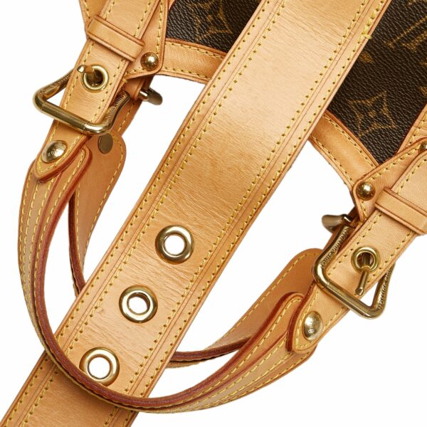 LV Theda PM Monogram Canvas - Image 6