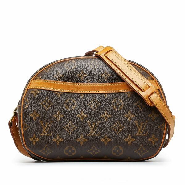 LV Blois Monogram Canvas - Image 9