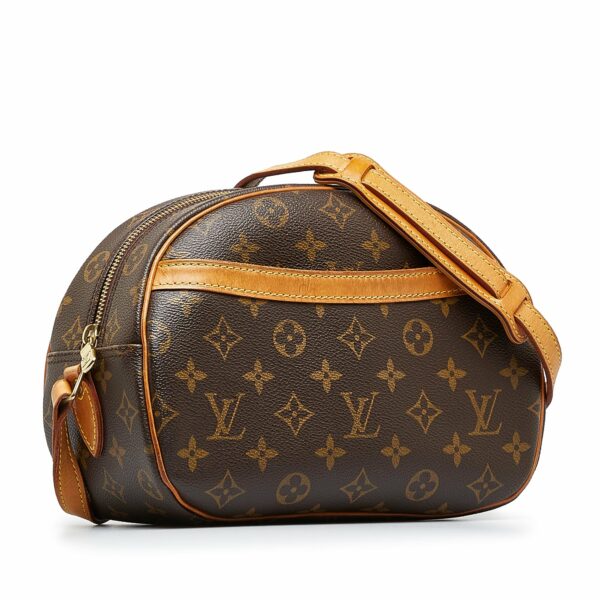 LV Blois Monogram Canvas