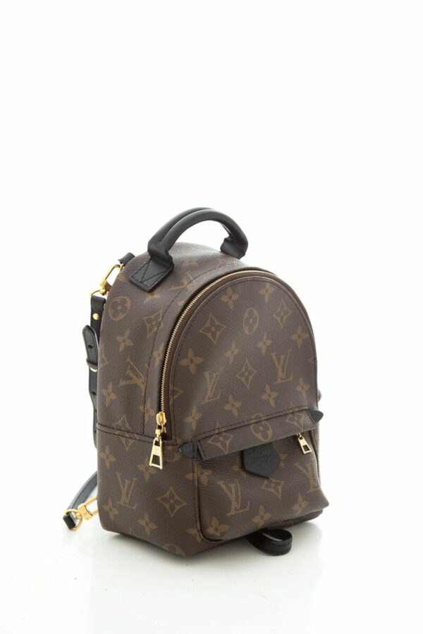 LV 2022 "Mini Palm Springs" Monogram Backpack - Image 2