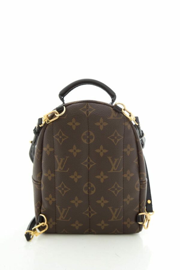 LV 2022 "Mini Palm Springs" Monogram Backpack - Image 3