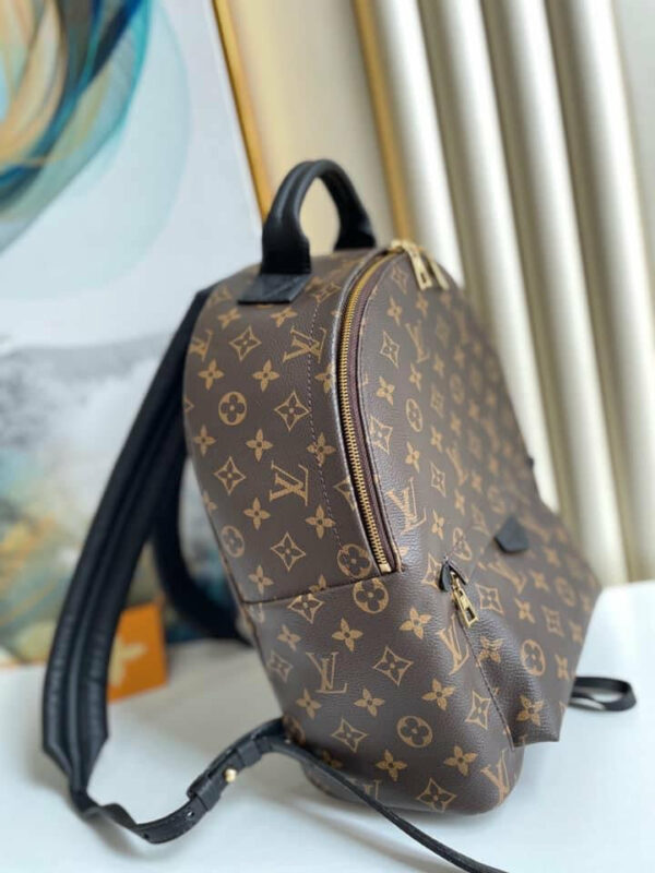 LV Palm Spring Mini Bag - Image 5