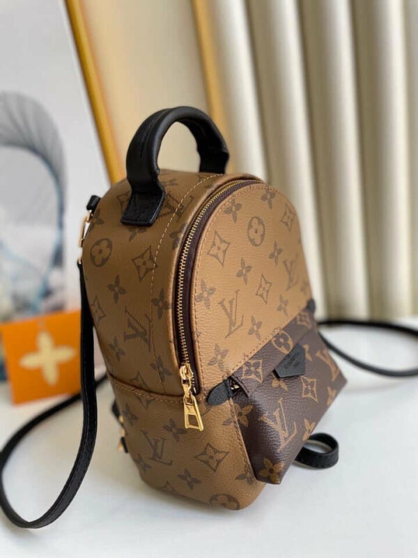 LV Palm spring Mini bag