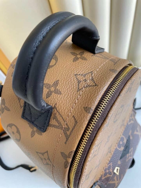 LV Palm spring Mini bag - Image 3