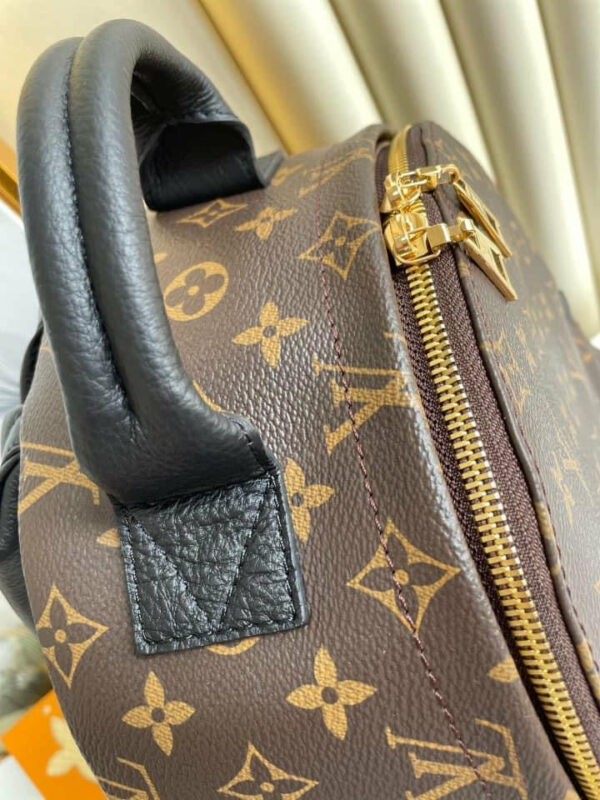 LV Palm Spring Mini Bag - Image 3