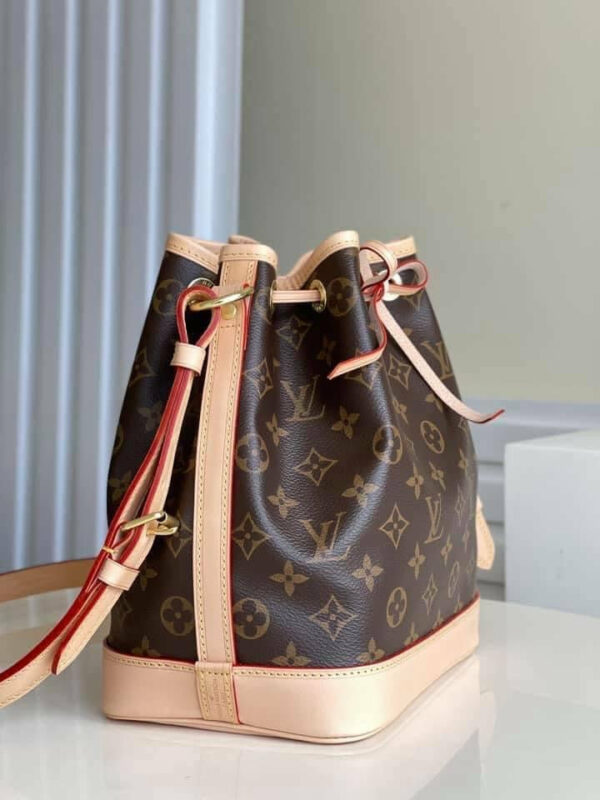 LV Noe BB Bag