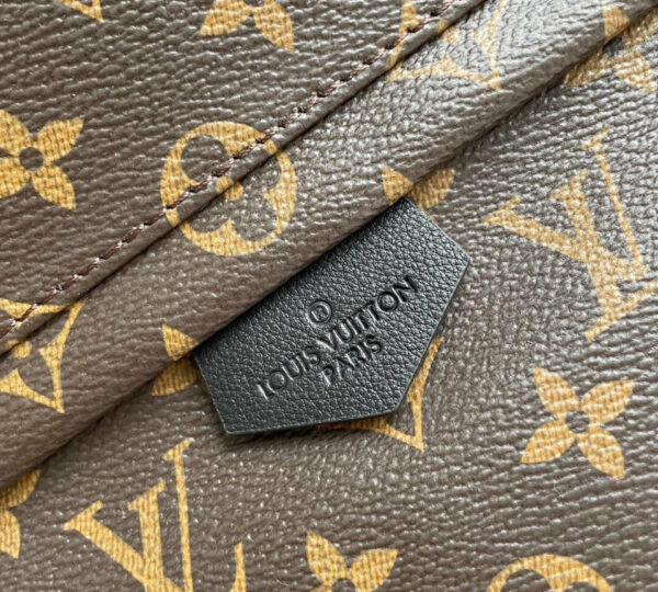 LV Palm Spring Mini Bag