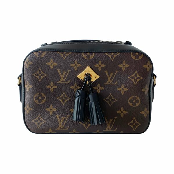 LV Monogram Saintonge Bag - Image 11