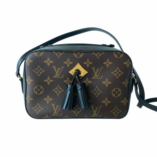 LV Monogram Saintonge Bag - Image 13