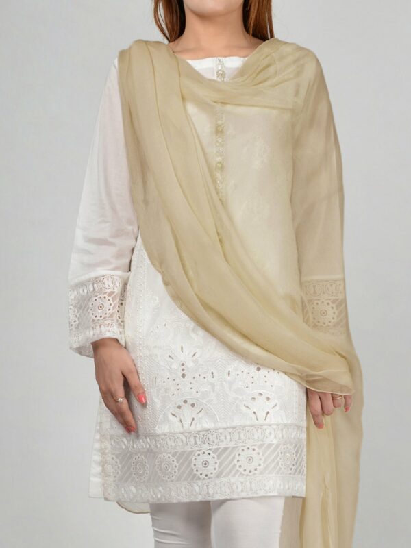 Chiffon Dupatta-Beige