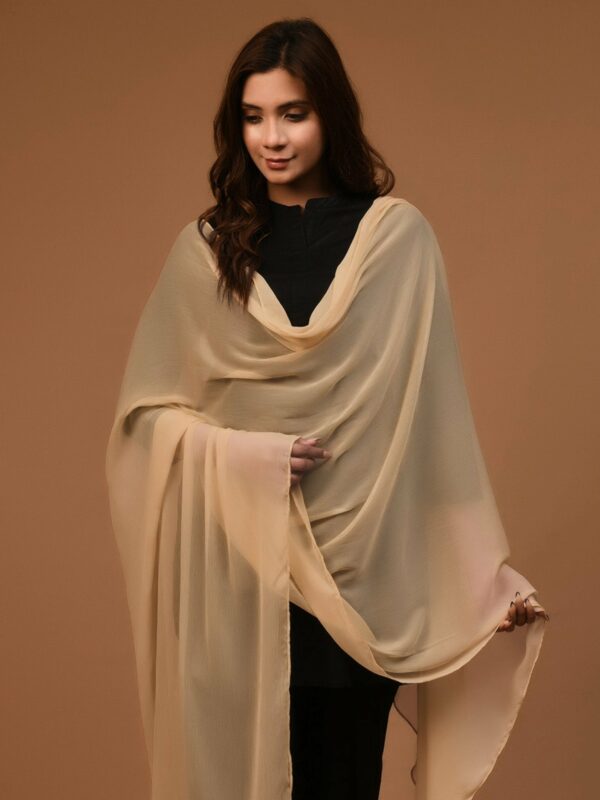 Chiffon Dupatta - Skin - Image 5