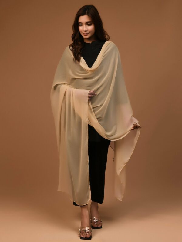 Chiffon Dupatta - Skin - Image 3