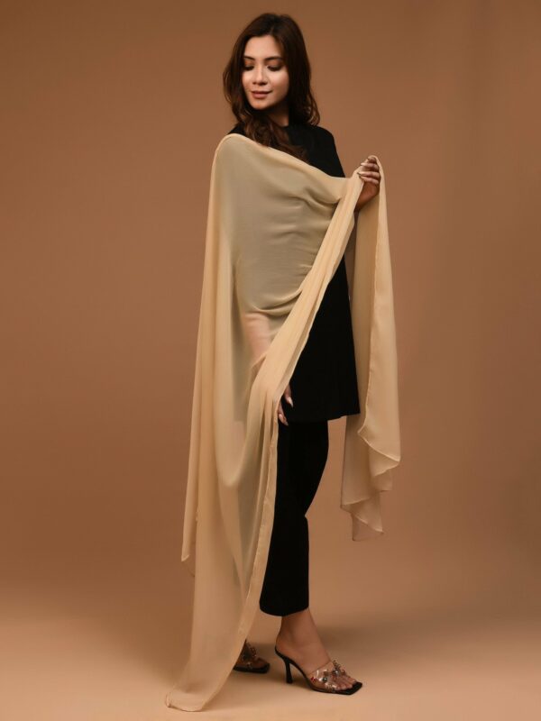 Chiffon Dupatta - Skin - Image 4