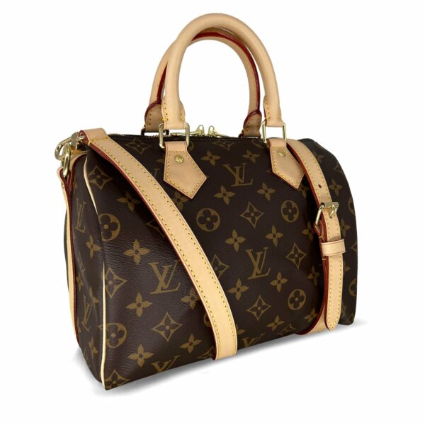 LV Speedy 25 Monogram