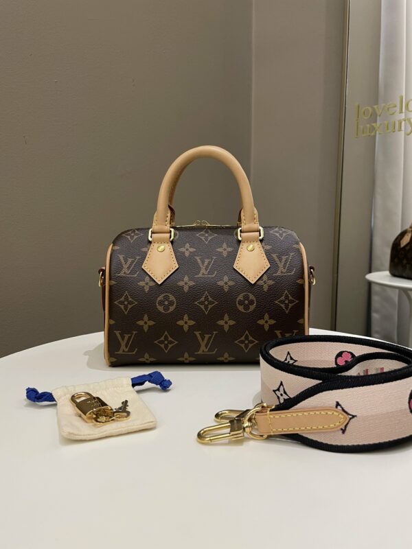 LV Speedy 20 Classic Monogram