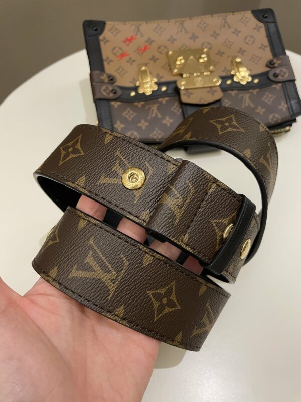 LV Pochette Trunk Clutch Monogram - Image 19