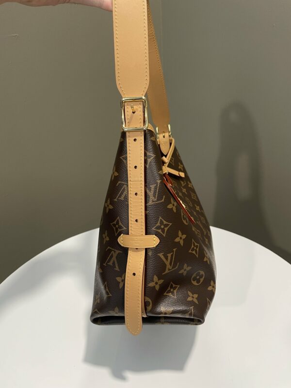 LV Carryall PM Monogram - Image 8