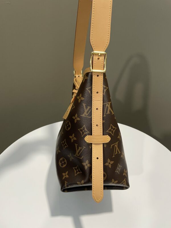 LV Carryall PM Monogram - Image 9