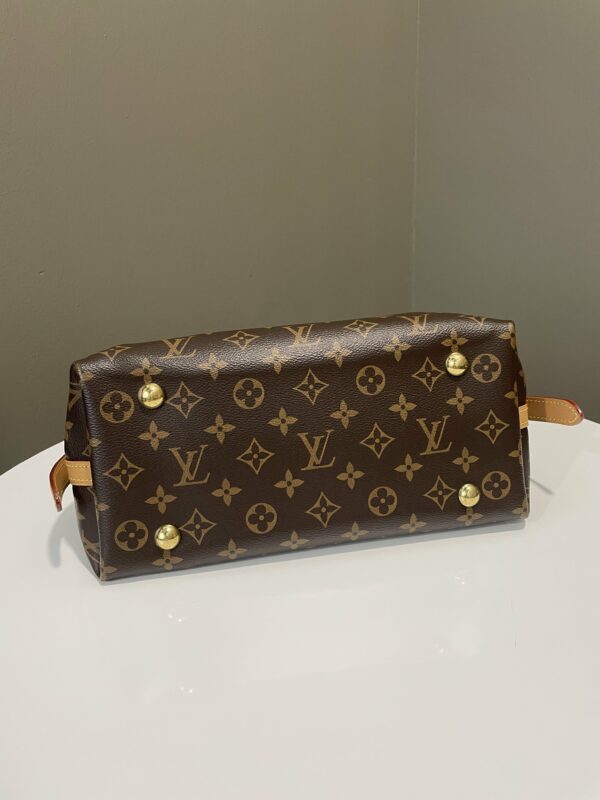 LV Carryall PM Monogram - Image 14