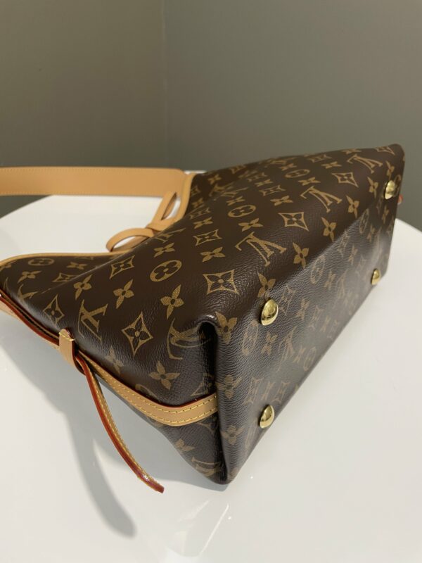 LV Carryall PM Monogram - Image 12