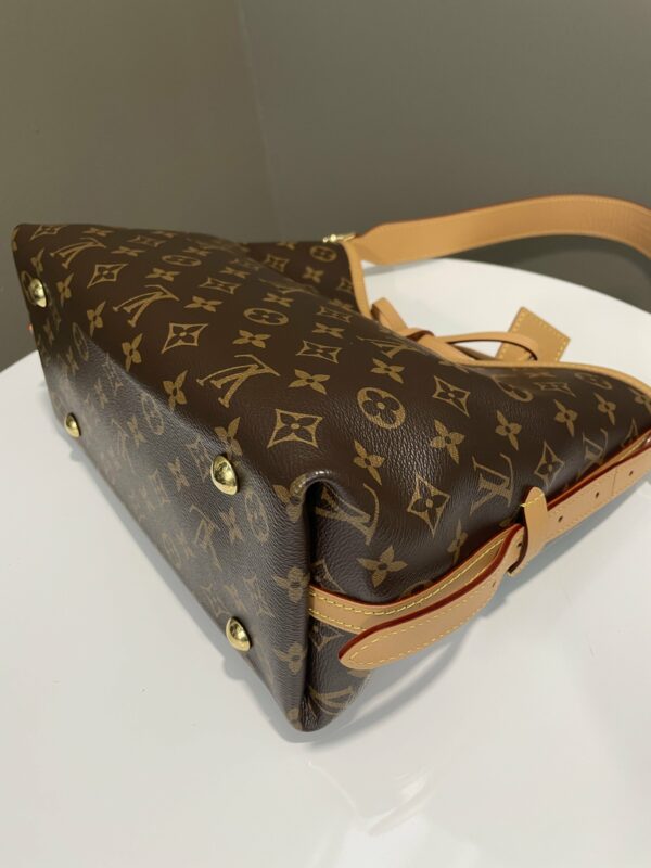 LV Carryall PM Monogram - Image 13