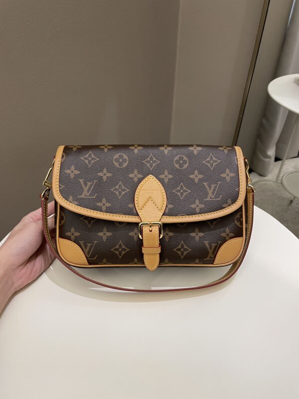 LV Diane PM Monogram / Fuchsia - Image 20