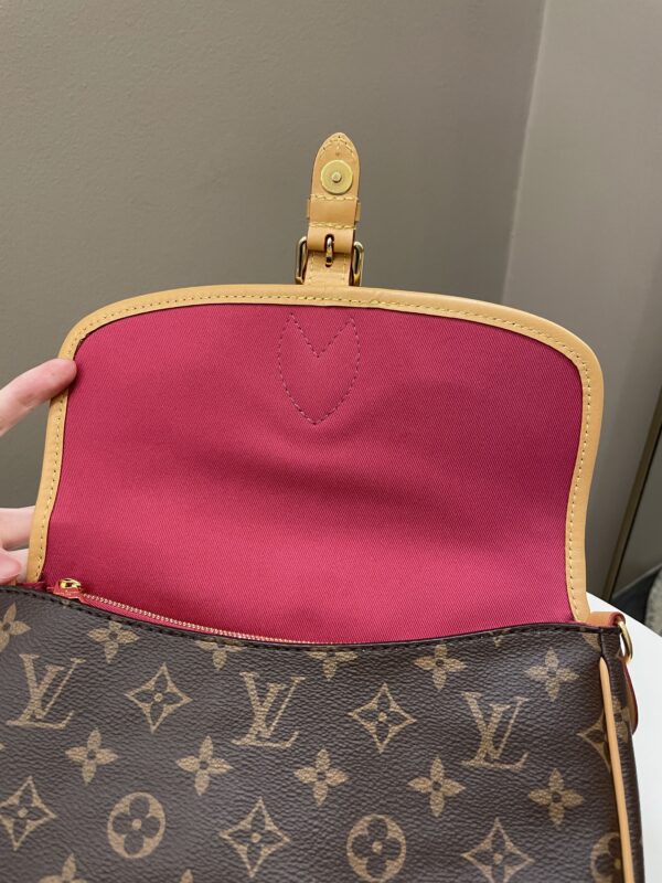 LV Diane PM Monogram / Fuchsia - Image 14