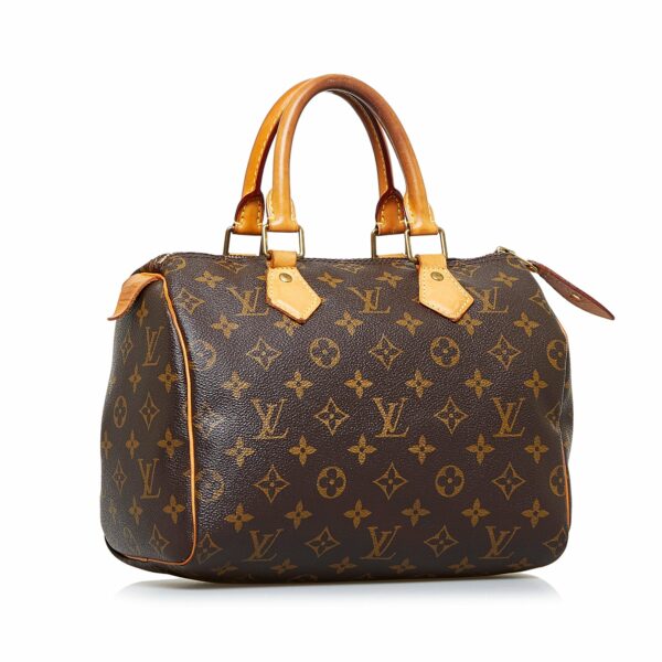 LV Speedy 25 Monogram Canvas